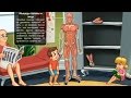 Мышцы. Развивающий мультфильм про строение мышц тела
