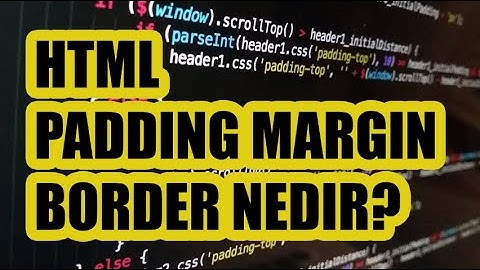 HTML CSS Margin, Padding, Border Nedir ? HTML CSS Boşluk Bırakma