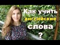 Как учить английские слова и запоминать их НАДОЛГО?