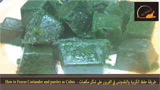 طريقة حفظ الكزبرة والبقدونس في الفريزر على شكل مكعبات - How to Freeze Coriander and parsley as Cube