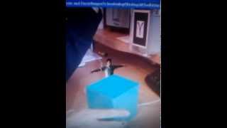 My first markerbased augmented tests for Occlusion