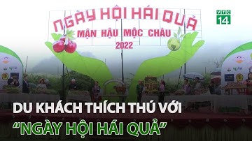 Du khách thích thú với “ngày hội hái quả” | VTC14