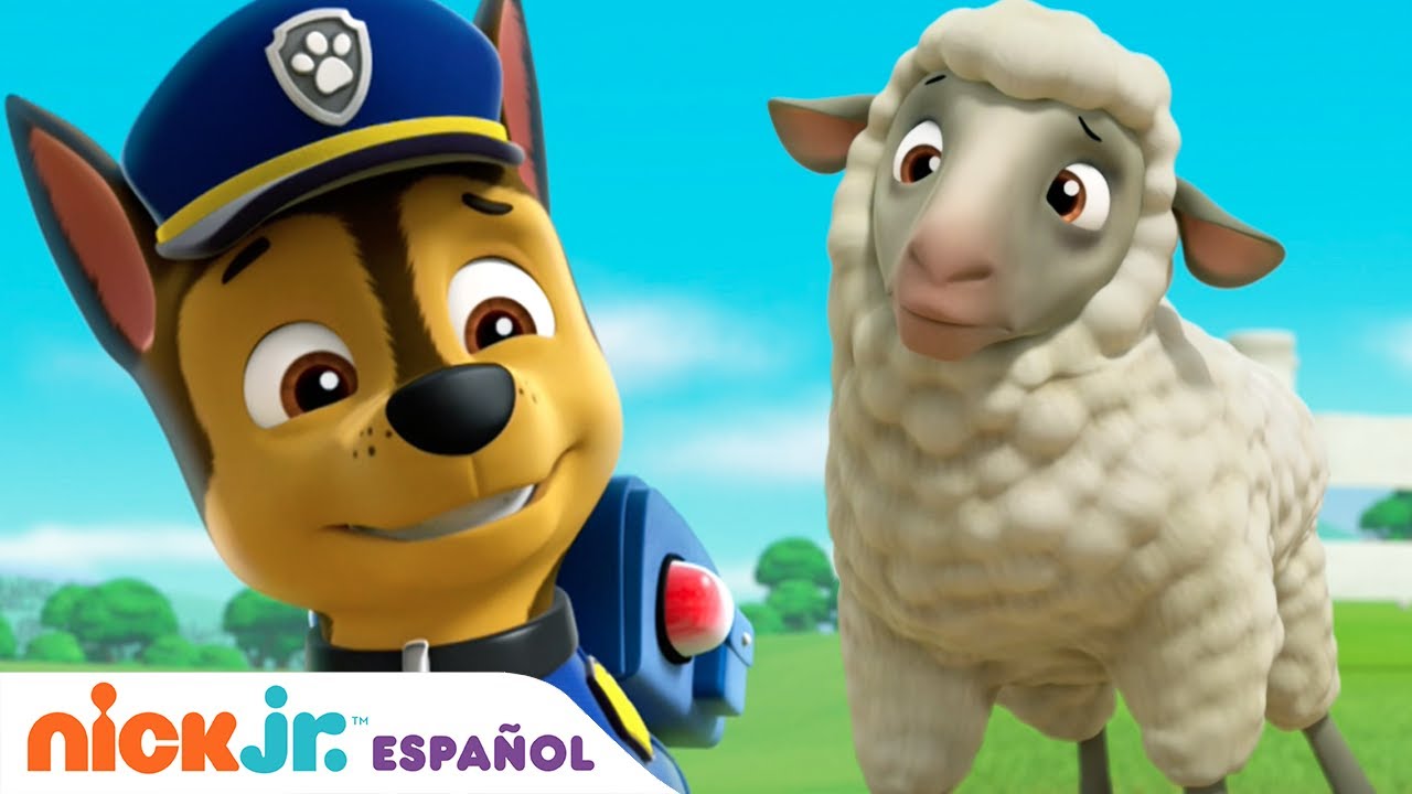 PAW Patrol, Patrulla de cachorros | Los cachorros salvan el rebaño | Nick Jr. en Español