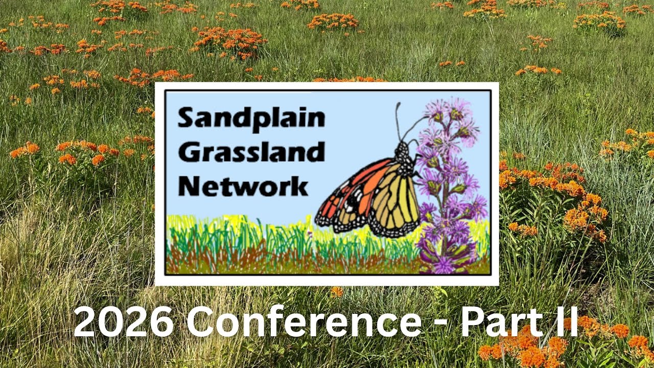Sustaining Biodiversity in Sandplain Grasslands - Part II