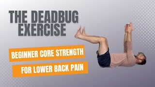 Dead Bug Exercise For Beginners | Positioning, Progressions, and Common Mistakes