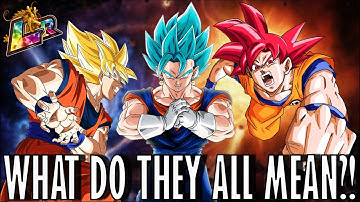 ALL NEW Summoning Animations Explained! DBZ Dokkan Battle