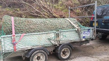 Chainsaw milling beautiful Elm Yorkshire