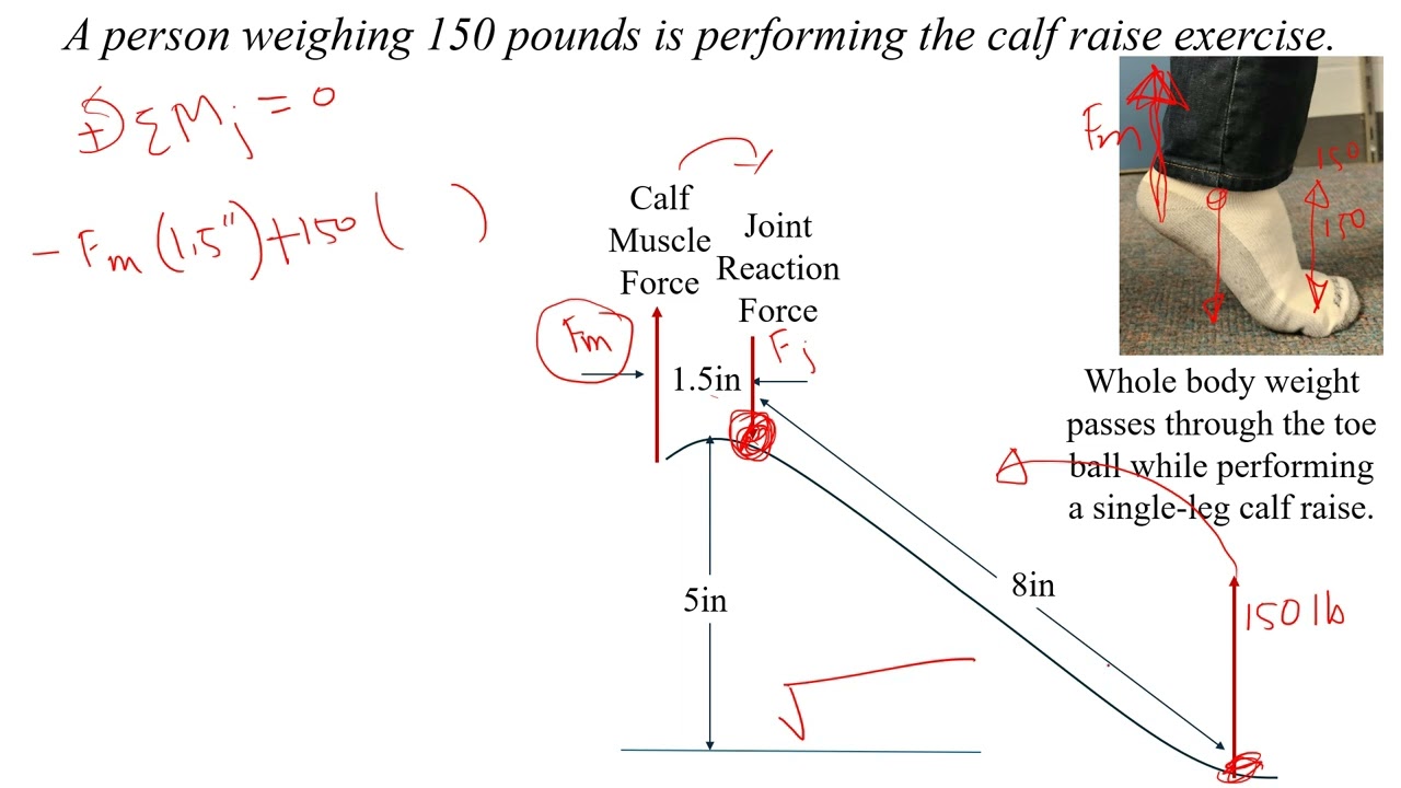 Calf Muscle & Ankle Joint Reaction Forces: Foot Up Calculation