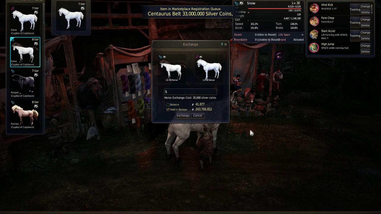 BDO exchanging t8 with t7 horse YouTube