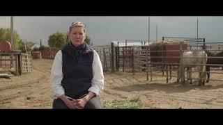 2017 ASPCA Equine Welfare Award: Fleet of Angels