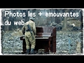 Les 45 images les plus touchantes et mouvantes du web