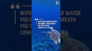 #WorldNatureConservationDay #oceanoptimism #oceangeneration
#WorldNatureConservationDay #oceanoptimism #oceangeneration #WorldNatureConservationDay #oceanoptimism #oceangeneration
