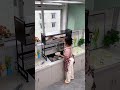 Kitchen sink shelf