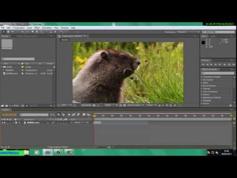 AFTER EFFECTS CS4 (BEGINNERS!!!) WIDESCREEN EFFECT TUTORIAL