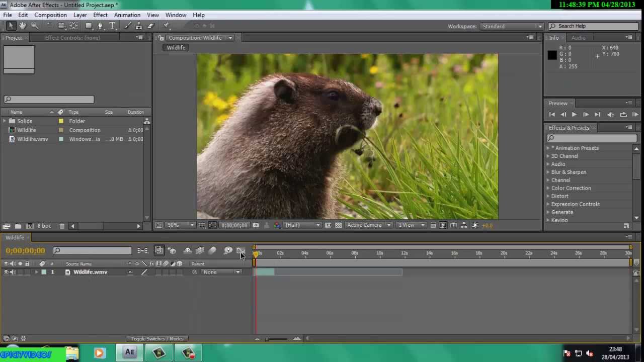 AFTER EFFECTS CS4 (BEGINNERS!!!) WIDESCREEN EFFECT TUTORIAL