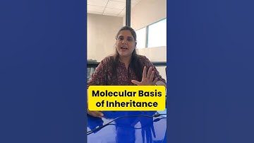 Class12 Biology Most Important Topics | Molecular basis of inheritance #shorts