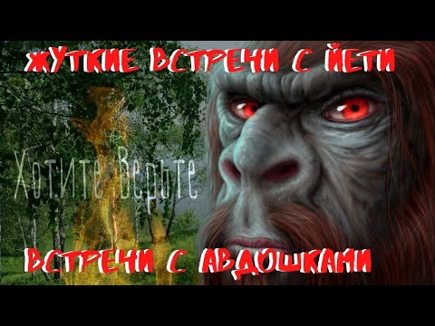 Жуткие встречи с Йети.ВСТРЕЧИ С АВДОШКАМИ.