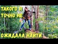 Находки в лесу. Такого я точно не ожидала найти.