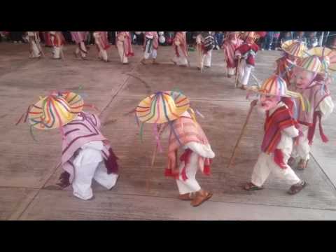 DANZA DE LOS VIEJITOS 2° GRADO DE KINDER SAN MIGUEL ENYEGE IXTLAHUACA MEXICO