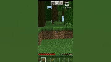 Minecraft, But If you Subscribe The Channel I Got Random Item #shorts