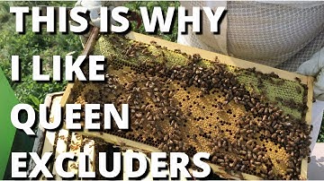 This is why I like queen excluders!