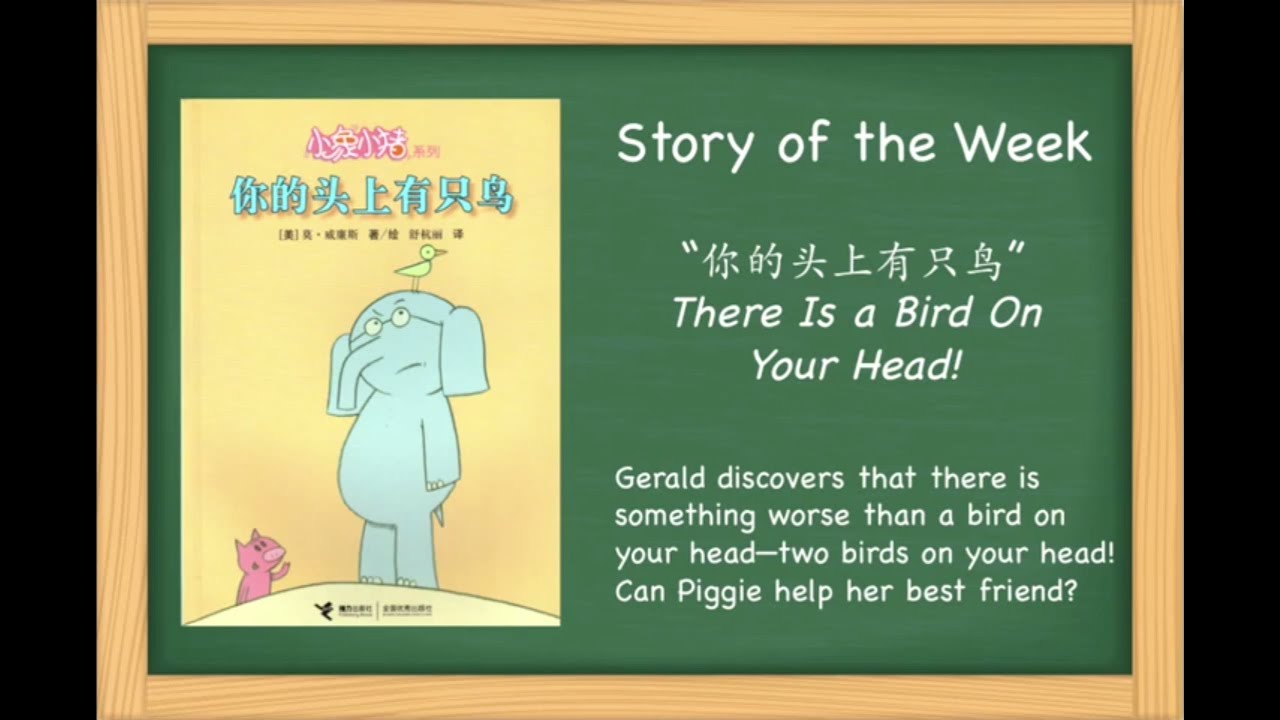 There Is A Bird On Your Head Simplified Chinese Version There is a bird on your head simplified chinese version