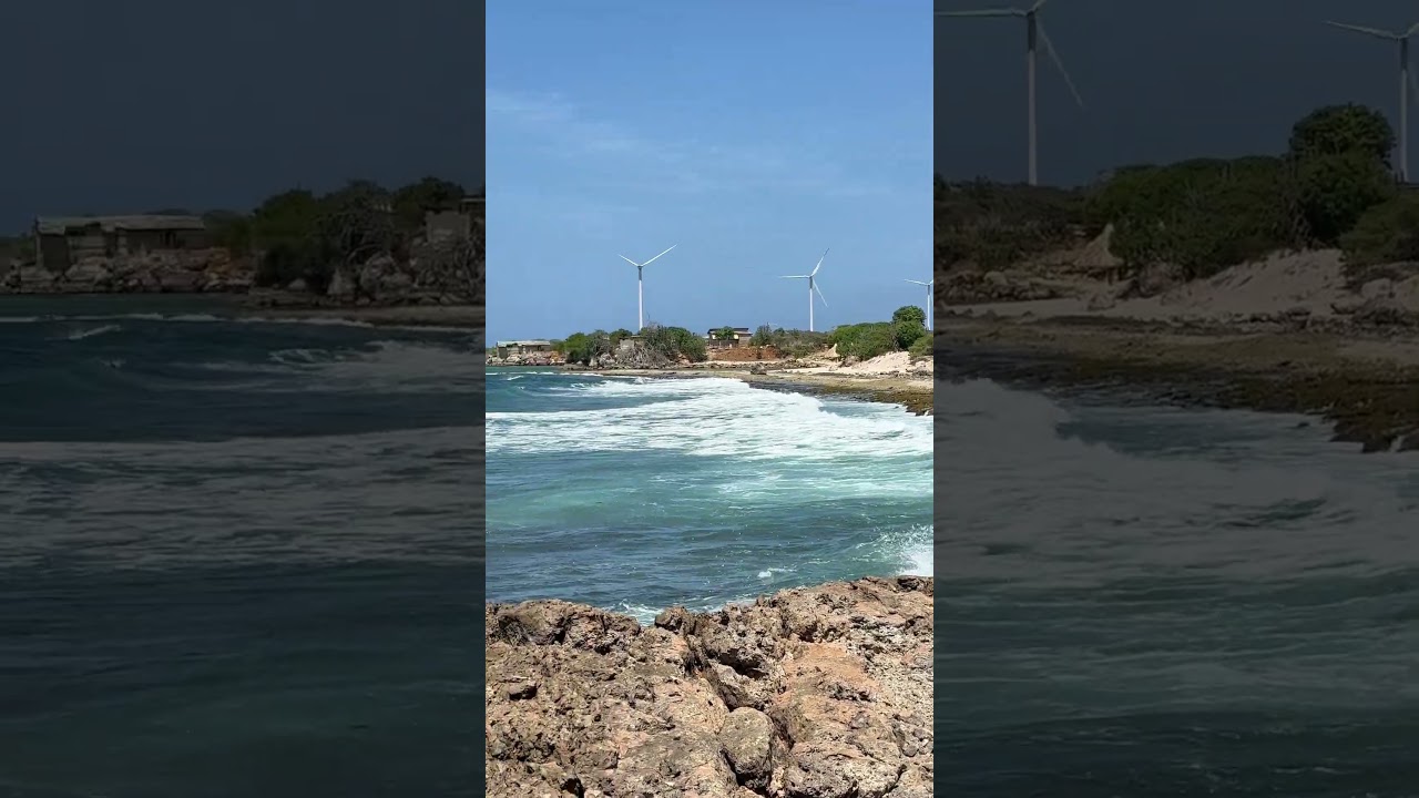 Playa Canoa Curaçao 🌊🇨🇼 | The Wild Side of the Caribbean #curacao #shortvideo #shorts