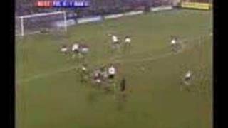 Papa Bouba Diop Screamer!