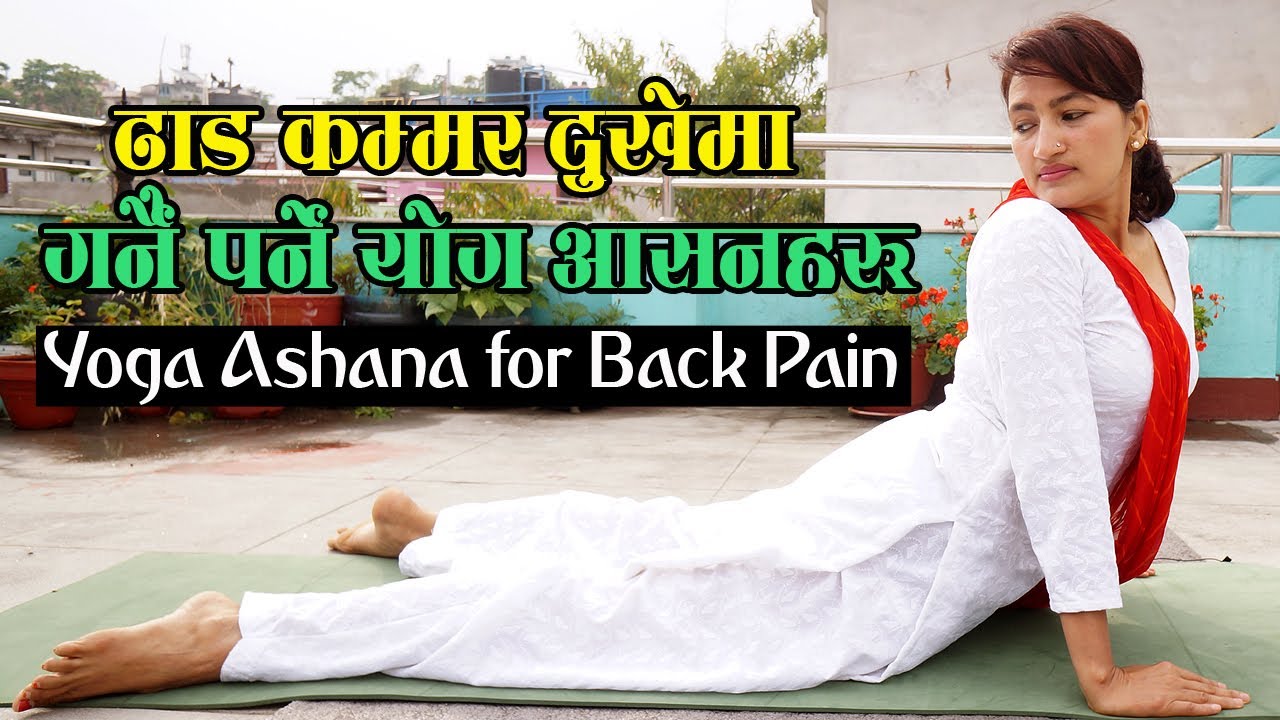 ढाड कम्मर दुख्ने समस्या भएकाले गर्नै पर्ने योग आसनहरु II 𝐘𝐨𝐠 𝐀𝐬𝐡𝐚𝐧 𝐟𝐨𝐫 𝐁𝐚𝐜𝐤 𝐏𝐚𝐢𝐧 𝐛𝐲 𝐘𝐨𝐠𝐚 𝐓𝐞𝐚𝐜𝐡𝐞𝐫