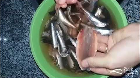 Sardalyanın kılçığı nasıl temizlenir?