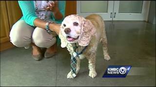 Pet-based program to prevent bullying goes national