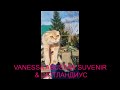 Кошка скоттиш-фолд VANESSA ABUSTAR SUVENIR &amp; ШОТЛАНДИУС