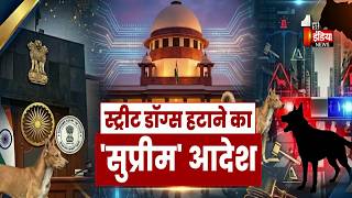Supreme Court On Stray Dogs: खतरनाक कुत्तों को लेकर सुप्रीम कोर्ट का एक्शन | Jawab To Dena Padega