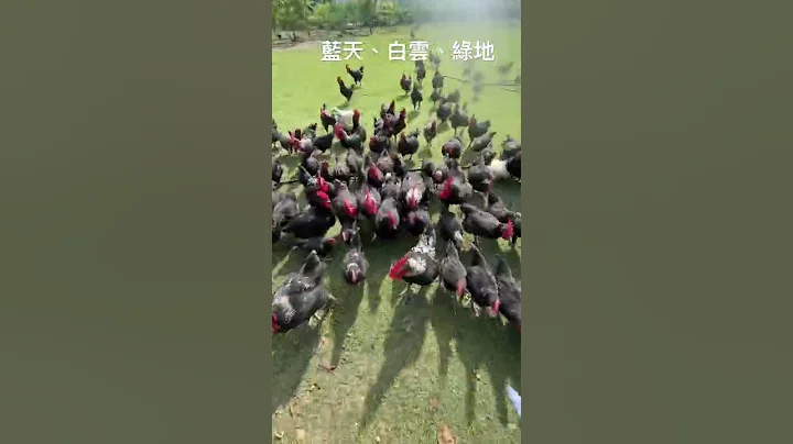 藍天白雲綠地～優質環境 - 天天要聞