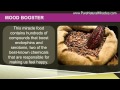 Cacao Nibs - What Are Cacao Nibs [Buyer Beware] - YouTube