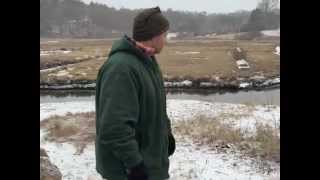 MassWildlife Winter Waterfowl Survey