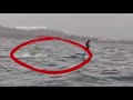 WATCH: Curious shark chases foil surfer