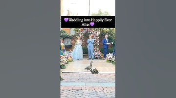 Unexpected Guests 🦆 🦆 🦆 #wedding #trending