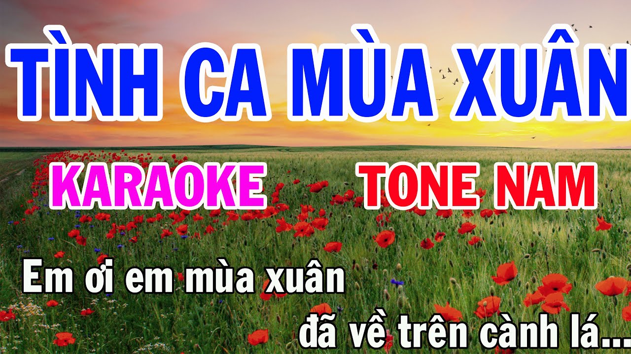 Tình Ca Mùa Xuân Karaoke Tone Nam Nhạc Sống gia huy karaoke