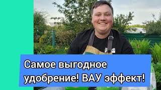 Это удобрение самое экономичное! Всем рекомендую!