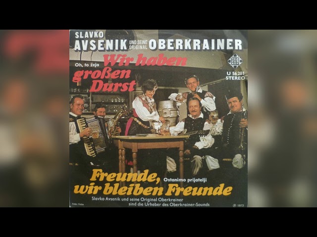 SLAVKO AVSENIK - UNTER UNS FREUNDEN