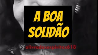 A Boa Solidão - Mayse Braga