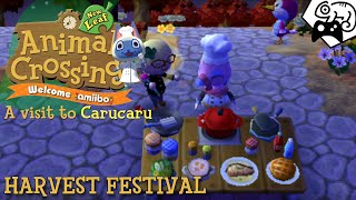 A visit to Carucaru #3 - Animal Crossing: New Leaf