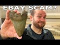 Megalodon Tooth - Real or Fake eBay Scam