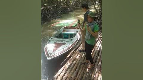 CaNo Tham Quan Xuyên Rừng Ngập Măn Bãi Bồi Mũi Cà Mau.SĐT 0943244142