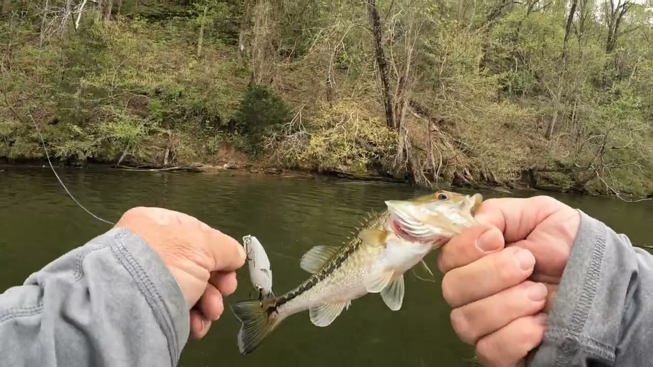 March bass fishing with best crankbait