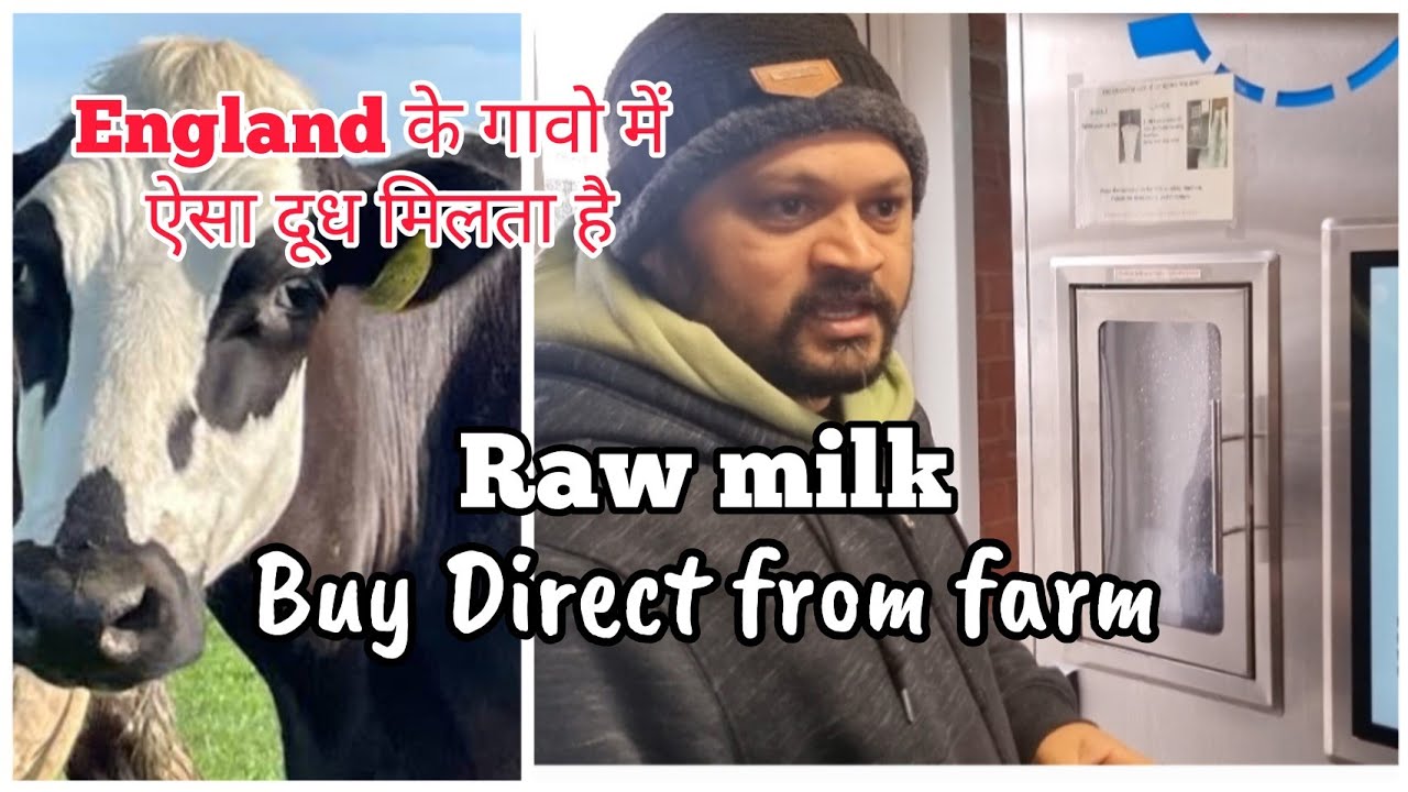 How do we buy raw milk in the UK dairy milk UK Travel farm Milk