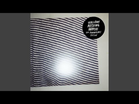 Trust Fall - Wallows