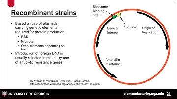 Fermentation Technology