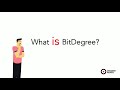 What is bitdegree  by successrover  online courses